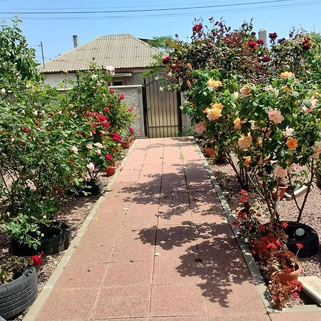 ホテル Casa Doina Douăzeci şi Trei August エクステリア 写真