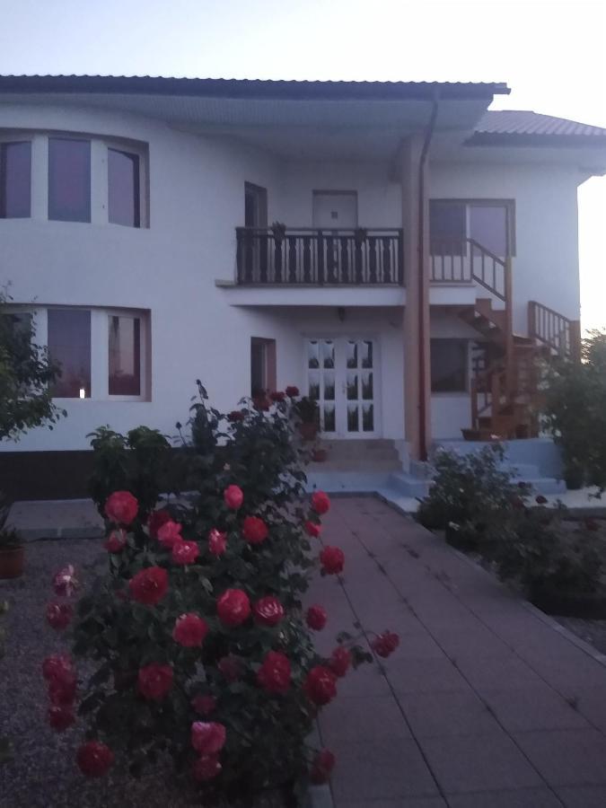 ホテル Casa Doina Douăzeci şi Trei August エクステリア 写真