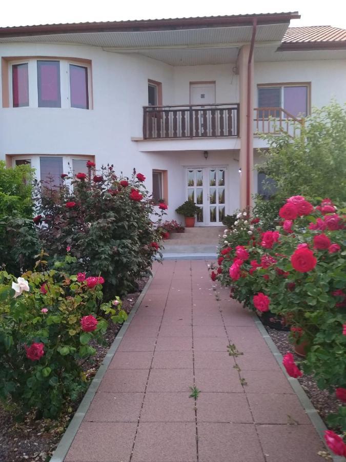ホテル Casa Doina Douăzeci şi Trei August エクステリア 写真