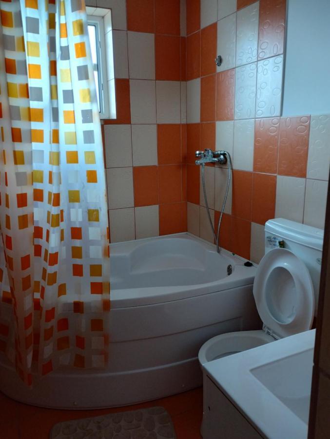 ホテル Casa Doina Douăzeci şi Trei August エクステリア 写真