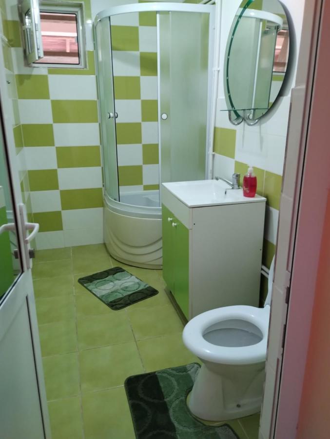 ホテル Casa Doina Douăzeci şi Trei August エクステリア 写真