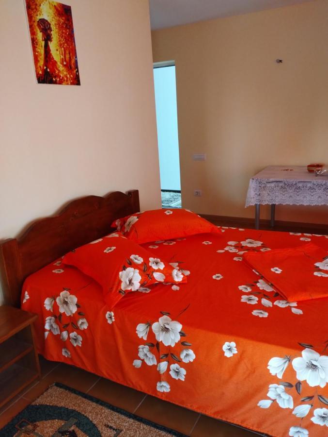 ホテル Casa Doina Douăzeci şi Trei August エクステリア 写真