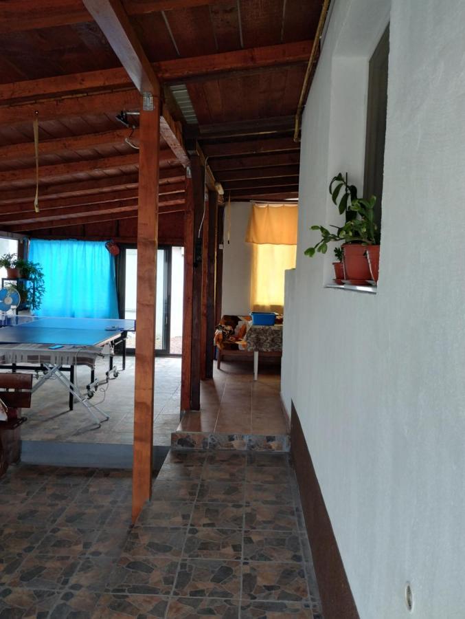 ホテル Casa Doina Douăzeci şi Trei August エクステリア 写真