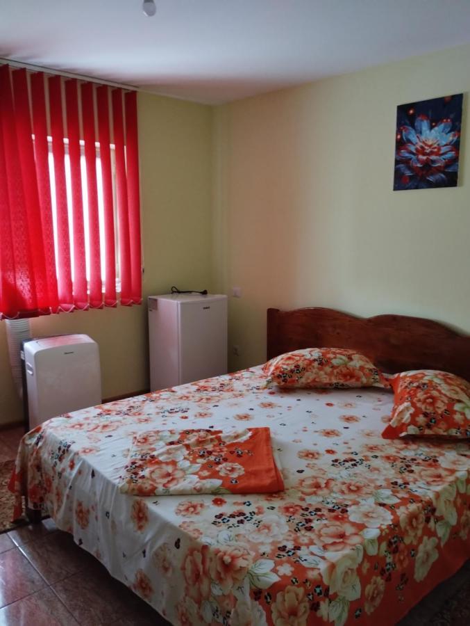 ホテル Casa Doina Douăzeci şi Trei August エクステリア 写真