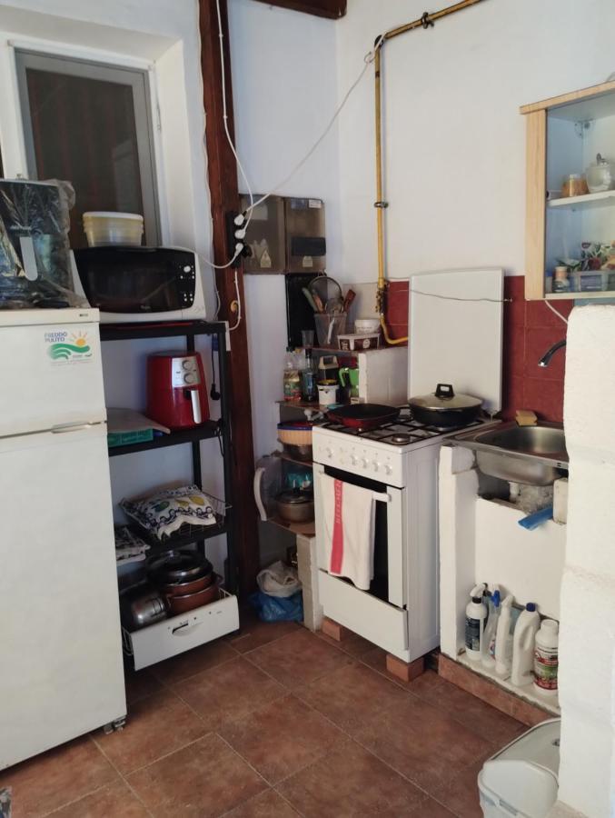 ホテル Casa Doina Douăzeci şi Trei August エクステリア 写真
