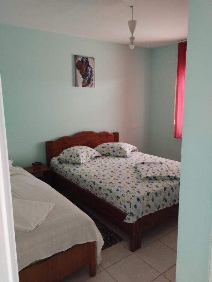 ホテル Casa Doina Douăzeci şi Trei August エクステリア 写真