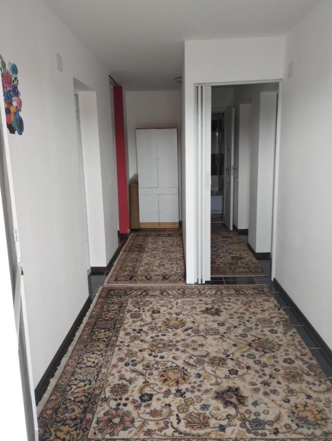ホテル Casa Doina Douăzeci şi Trei August エクステリア 写真