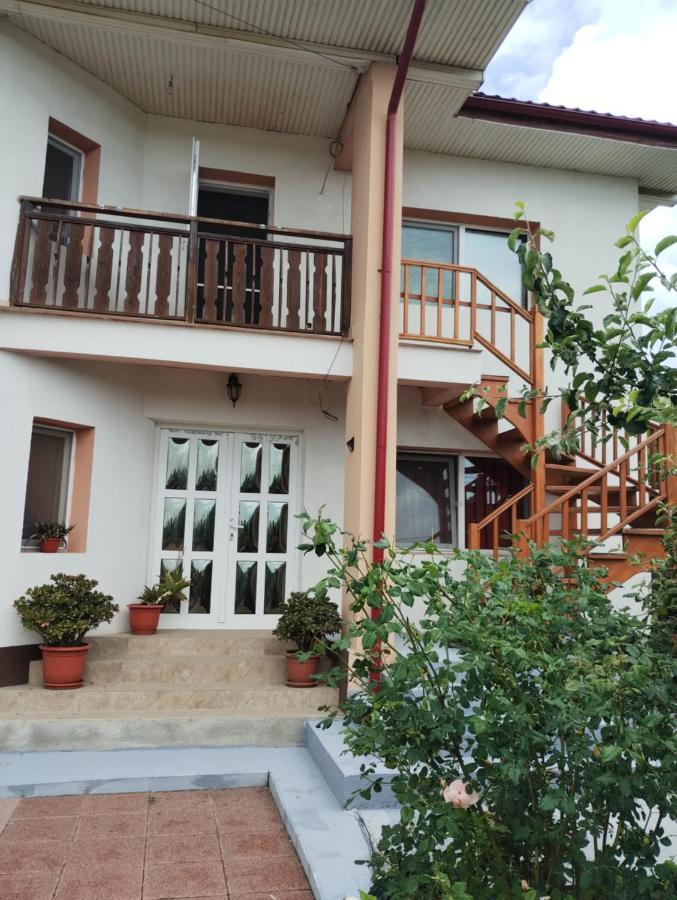 ホテル Casa Doina Douăzeci şi Trei August エクステリア 写真