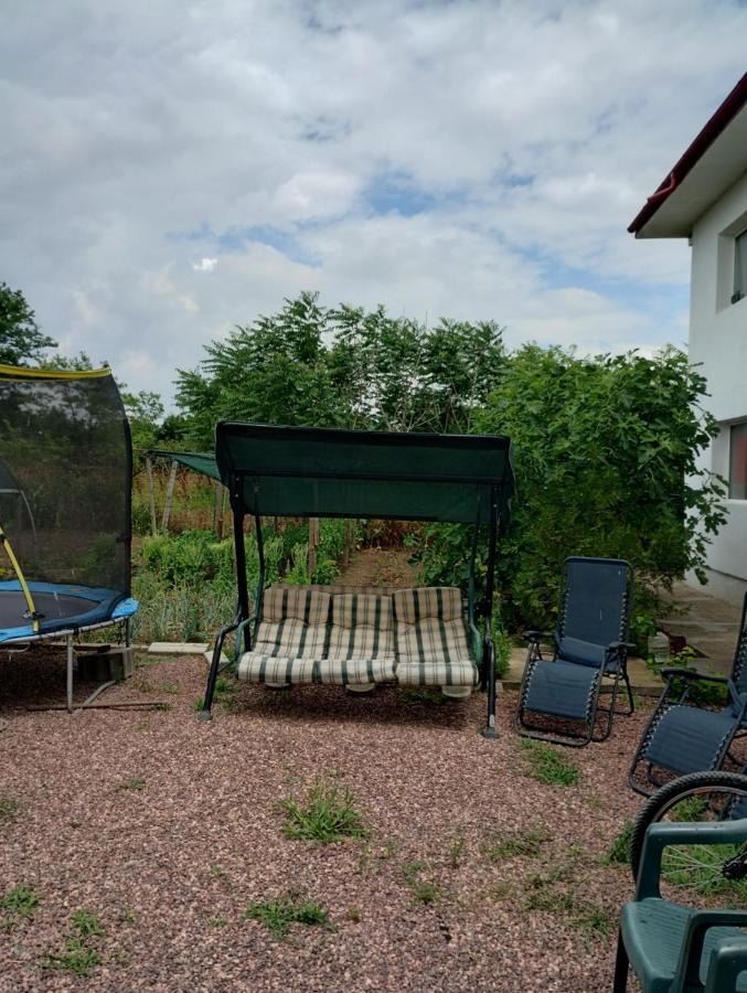ホテル Casa Doina Douăzeci şi Trei August エクステリア 写真