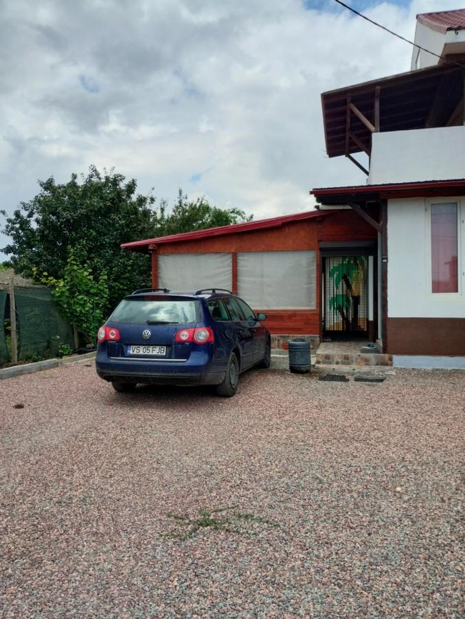 ホテル Casa Doina Douăzeci şi Trei August エクステリア 写真