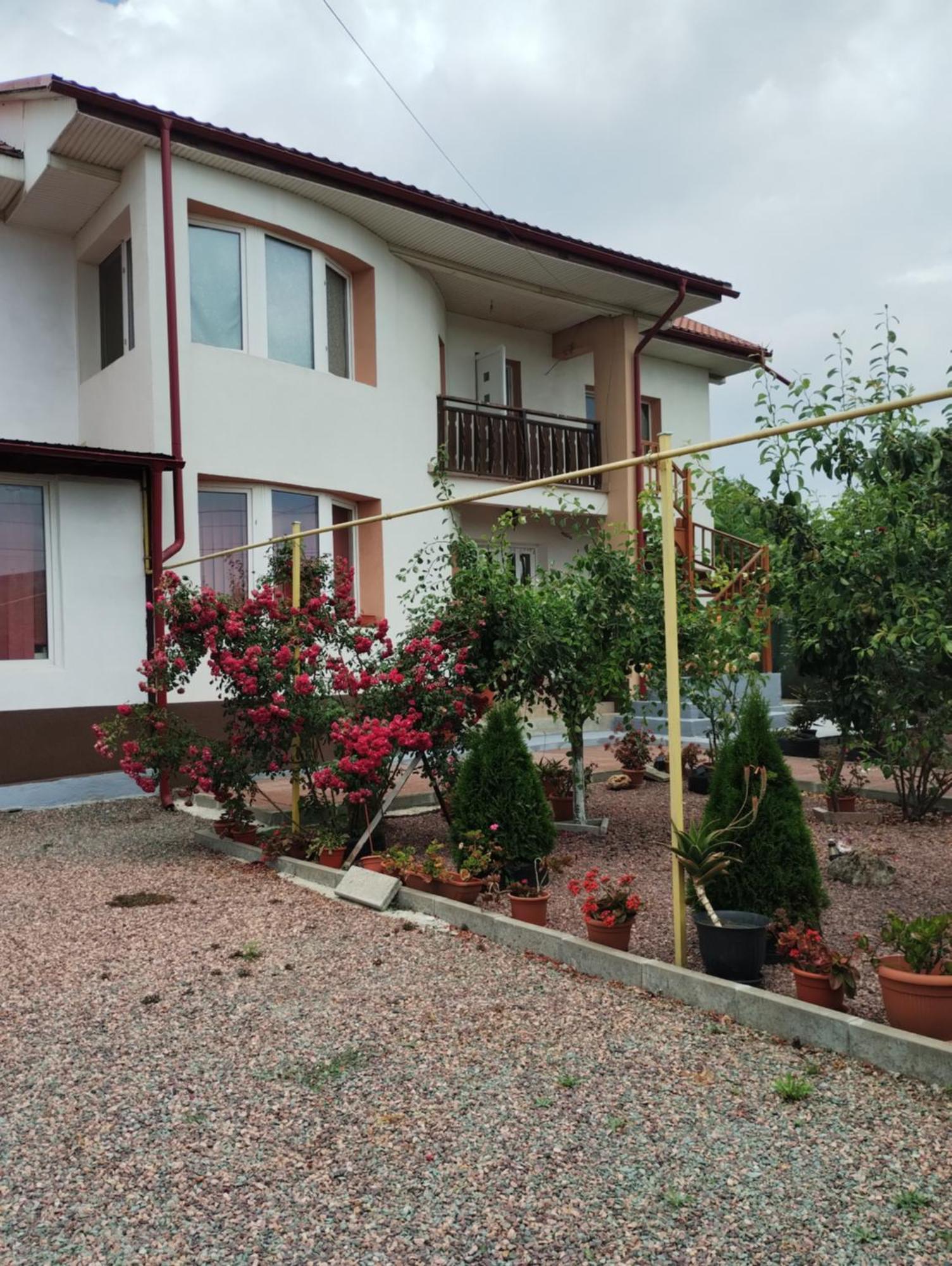 ホテル Casa Doina Douăzeci şi Trei August エクステリア 写真