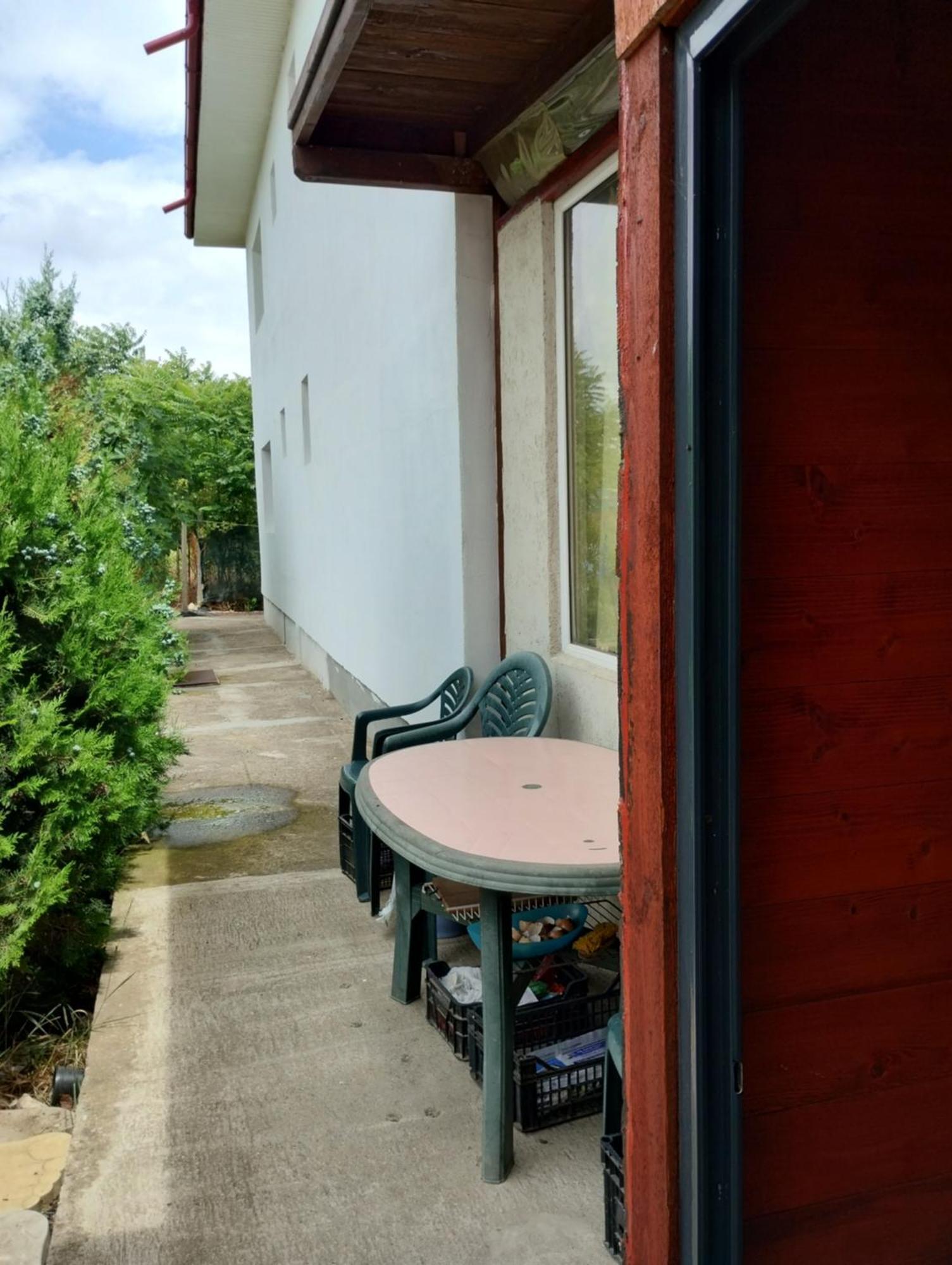 ホテル Casa Doina Douăzeci şi Trei August エクステリア 写真